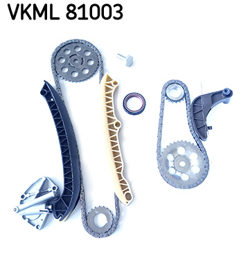 SKF VKML 81003 Kit catena distribuzione